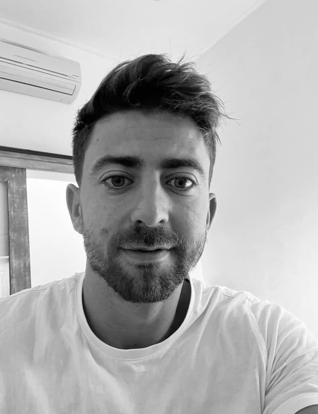 Ivo - Image Description